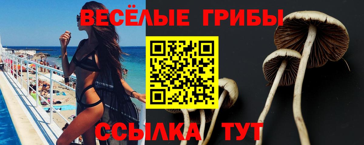 Галлюциногенные грибы Magic Shrooms  Вход с VPN  Светлоград 